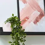 Park Square Apartment *